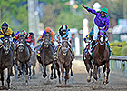 California Chrome Shines in Kentucky Derby California Chrome Shines in Kentucky Derby