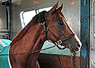 California Chrome Arrives at Churchill Downs California Chrome Arrives at Churchill Downs
