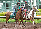 California Chrome Sneaks in Los Alamitos Work California Chrome Sneaks in Los Alamitos Work