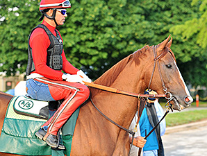California Chrome Takes First Spin at Belmont California Chrome Takes First Spin at Belmont