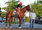 'Chrome' Becomes Poster Boy for CA Breeders 'Chrome' Becomes Poster Boy for CA Breeders