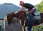 Foal Crop Size Favors California Chrome Foal Crop Size Favors California Chrome
