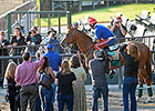 Using Triple Crown Buzz to Attract New Owners Using Triple Crown Buzz to Attract New Owners