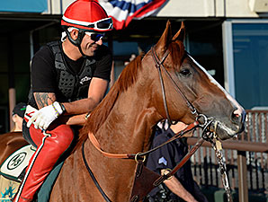 California Chrome Taking it Easy at Los Al California Chrome Taking it Easy at Los Al