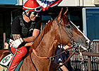 California Chrome Taking it Easy at Los Al California Chrome Taking it Easy at Los Al