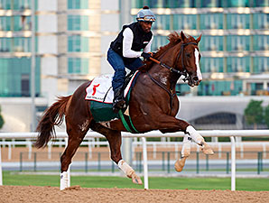 California Chrome Draws Wide for World Cup