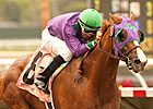 California Chrome to Run in Santa Anita Derby California Chrome to Run in Santa Anita Derby