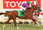 California Chrome Picks Up Cal-Bred Awards California Chrome Picks Up Cal-Bred Awards