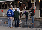 California Chrome the Morning After KY Derby California Chrome the Morning After KY Derby