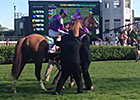 California Chrome After Kentucky Derby Win California Chrome After Kentucky Derby Win