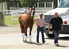 California Chrome Leaves for California
