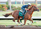 California Chrome Draws Rail in PA Derby California Chrome Draws Rail in PA Derby