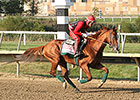 Chrome's Influence Evident at Barretts Sale Chrome's Influence Evident at Barretts Sale