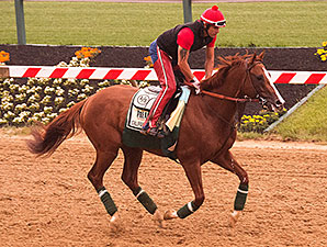 California Chrome Has First Gallop at Pimlico California Chrome Has First Gallop at Pimlico
