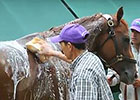 California Chrome: Groom Raul Rodriguez California Chrome: Groom Raul Rodriguez
