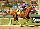 Field Selection Tops Final Derby Future Wager Field Selection Tops Final Derby Future Wager