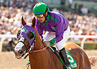 California Chrome Shines Again in SA Derby California Chrome Shines Again in SA Derby