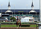 Preakness a Maryland Homecoming for Delgado Preakness a Maryland Homecoming for Delgado
