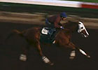 California Chrome Work for Jan. 19, 2015 California Chrome Work for Jan. 19, 2015
