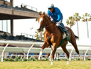 Hollywood Derby Likely After Chrome's Workout