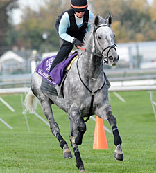 Will 'Flag' Unfurl in Turf Sprint? Will 'Flag' Unfurl in Turf Sprint?