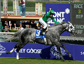 California Flag Flies in the Turf Sprint California Flag Flies in the Turf Sprint