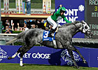 California Flag Flies in the Turf Sprint