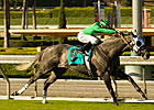 Fast Pass: 10 Go in Turf Express Fast Pass: 10 Go in Turf Express