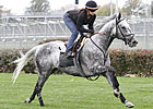 Koriner Pair Lead BC Works at Churchill