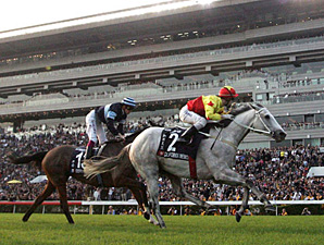 Second Straight HK Cup for California Memory Second Straight HK Cup for California Memory