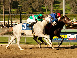 California Nectar Squeezes Out Santa Ynez Win California Nectar Squeezes Out Santa Ynez Win