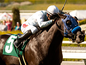 Calimonco Retired, to Stand at Ballena Vista Calimonco Retired, to Stand at Ballena Vista