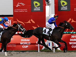 Calming Influence Wins Godolphin Mile Calming Influence Wins Godolphin Mile