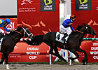 Calming Influence Wins Godolphin Mile Calming Influence Wins Godolphin Mile
