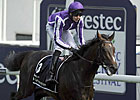 Camelot, Joseph O'Brien Honored in Ireland Camelot, Joseph O'Brien Honored in Ireland
