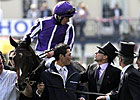 Camelot Doing Well Following Colic Surgery