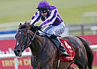 British Classic Winner Camelot Retired British Classic Winner Camelot Retired