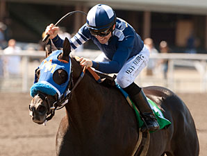 Powerful Cast Set for Triple Bend Handicap Powerful Cast Set for Triple Bend Handicap