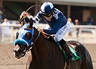 Powerful Cast Set for Triple Bend Handicap Powerful Cast Set for Triple Bend Handicap