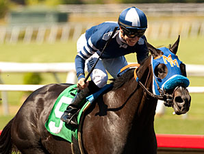 Camp Victory, Coil to Battle in Pat O'Brien Camp Victory, Coil to Battle in Pat O'Brien
