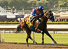 Can the Man Wire to Wire in Affirmed Stakes Can the Man Wire to Wire in Affirmed Stakes