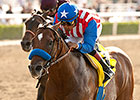 Can the Man Retired to Spendthrift Farm Can the Man Retired to Spendthrift Farm