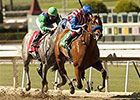 O'Neill Duo Tries Can the Man in Affirmed O'Neill Duo Tries Can the Man in Affirmed