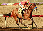 Candrea, Citizen Advocate Top Delta Princess Candrea, Citizen Advocate Top Delta Princess