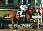 Candy Ball Wires Bayou BC Handicap Candy Ball Wires Bayou BC Handicap