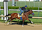 Sadler Sends Candy Boy to Final Derby Drill Sadler Sends Candy Boy to Final Derby Drill