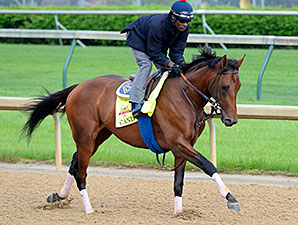 Candy Boy Among 47 West Virginia Derby Noms Candy Boy Among 47 West Virginia Derby Noms