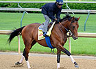 Candy Boy Among 47 West Virginia Derby Noms Candy Boy Among 47 West Virginia Derby Noms