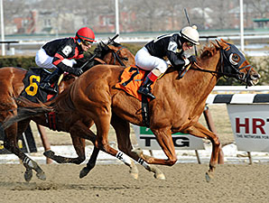 Candyman E Gets Job Done in Toboggan Candyman E Gets Job Done in Toboggan