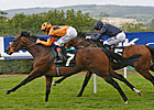 Canford Cliffs Tops 'Rip' in Sussex Stakes Canford Cliffs Tops 'Rip' in Sussex Stakes